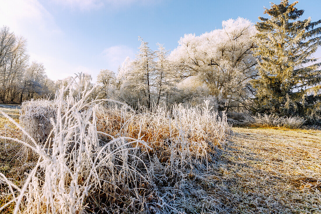 Winterlandschaft mit Raureif im Sempttal bei Erding in Oberbayern