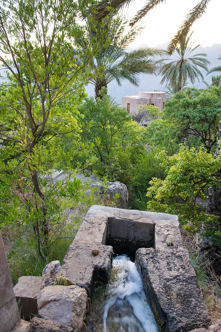 Irrigation canal above Wakan village in the Western Hajar Mountains, South Batinah Governorate in the border with Al Dakhiliyah Governorate through Al Hajar mountain range. Sultanate of Oman, Arabian Peninsula, Middle East