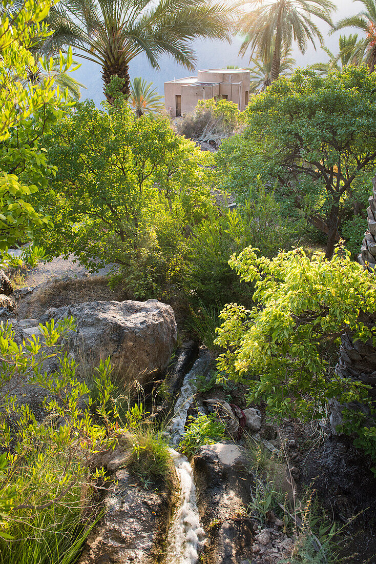 Bewässerungskanal, Dorf Wakan, westliches Hadschar-Gebirge, Gouvernement Süd-Batina, Sultanat Oman, Arabische Halbinsel, Naher Osten