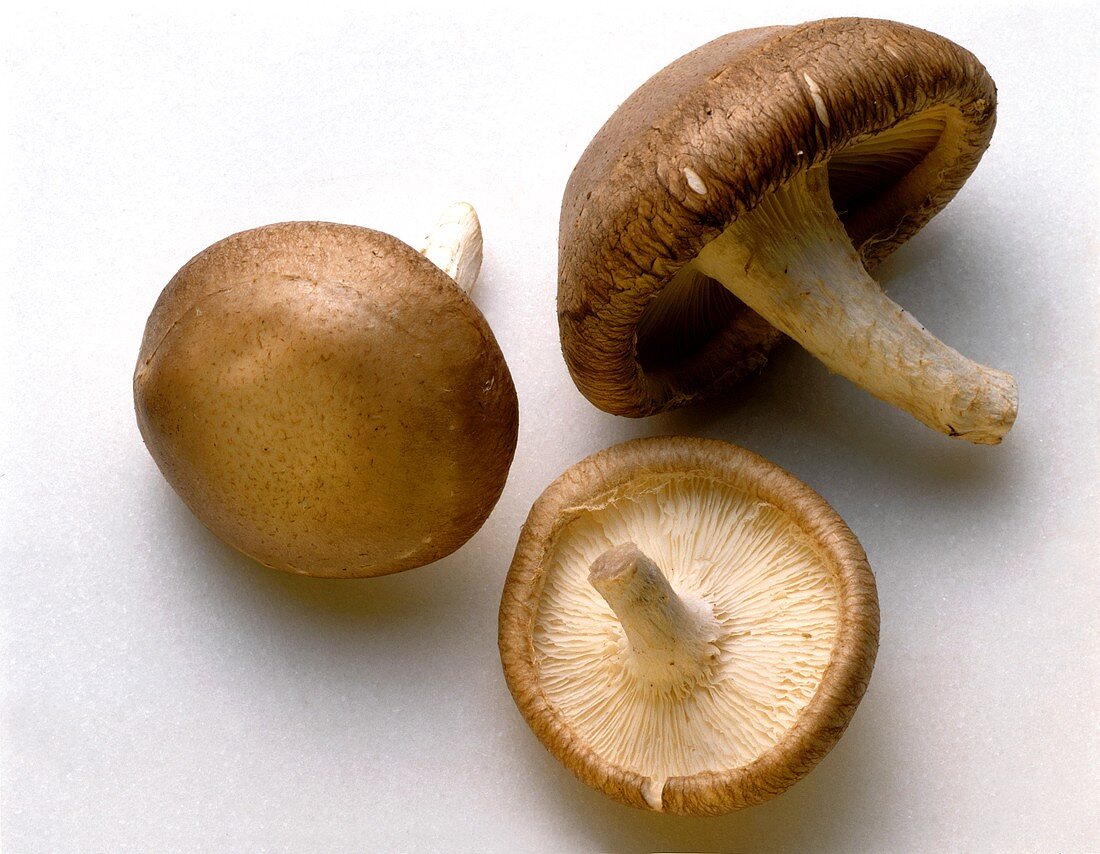 Shiitake Mushrooms