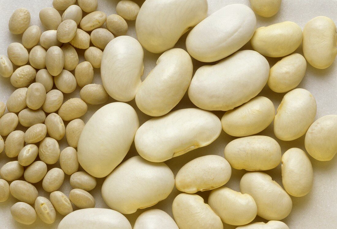 Dried White Beans