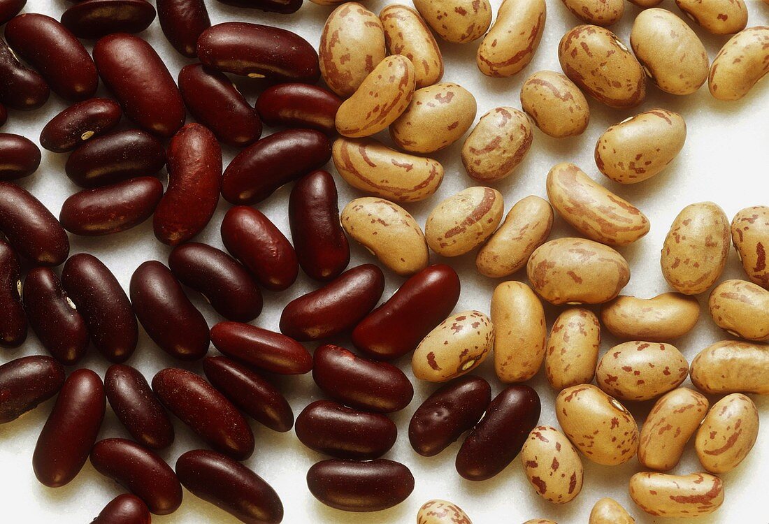 Red Kidney Beans & Pinto Beans