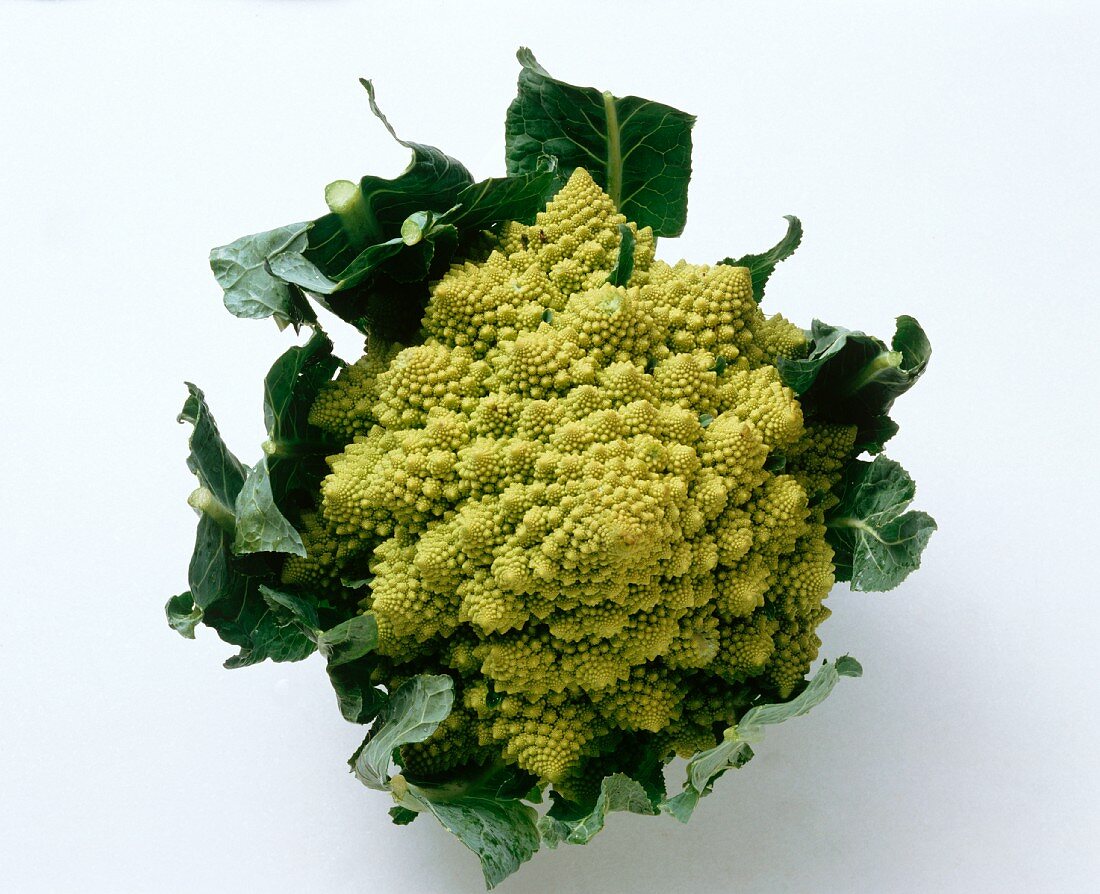 Romanesco