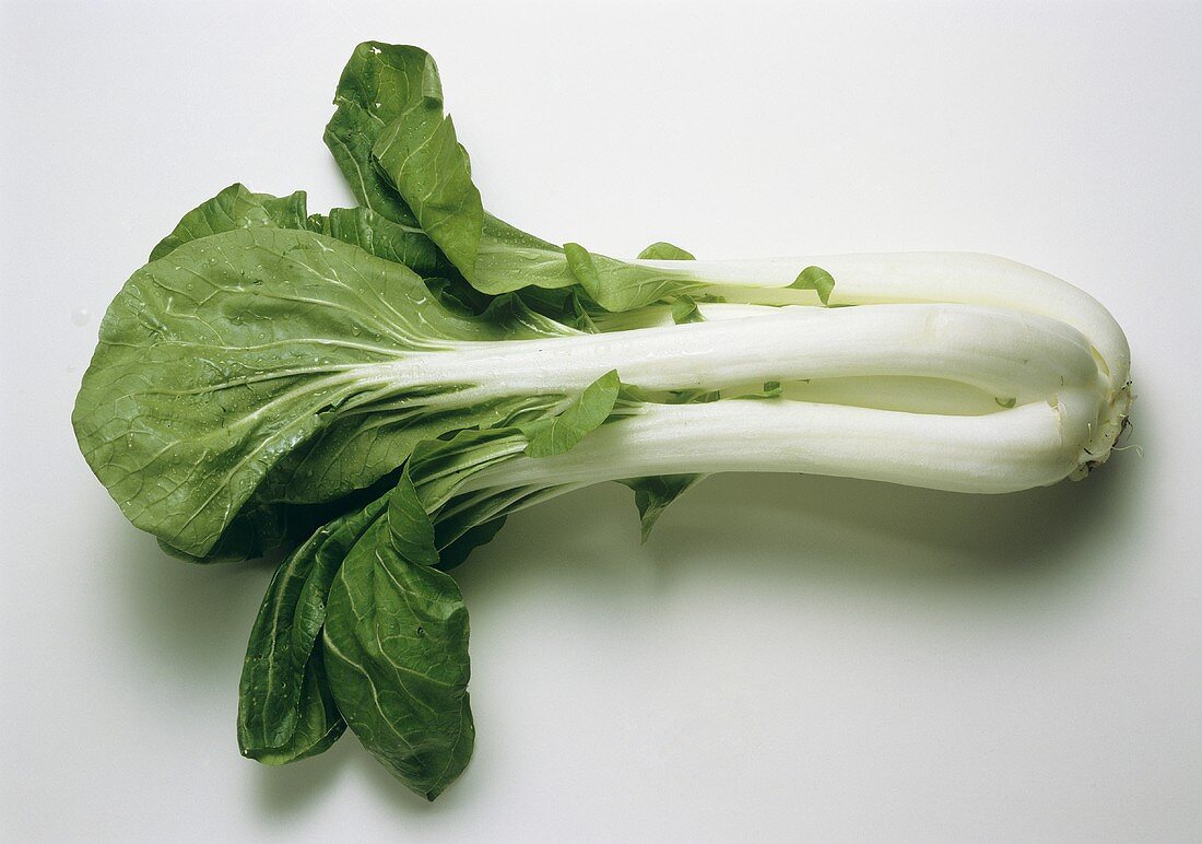 Pak Choi