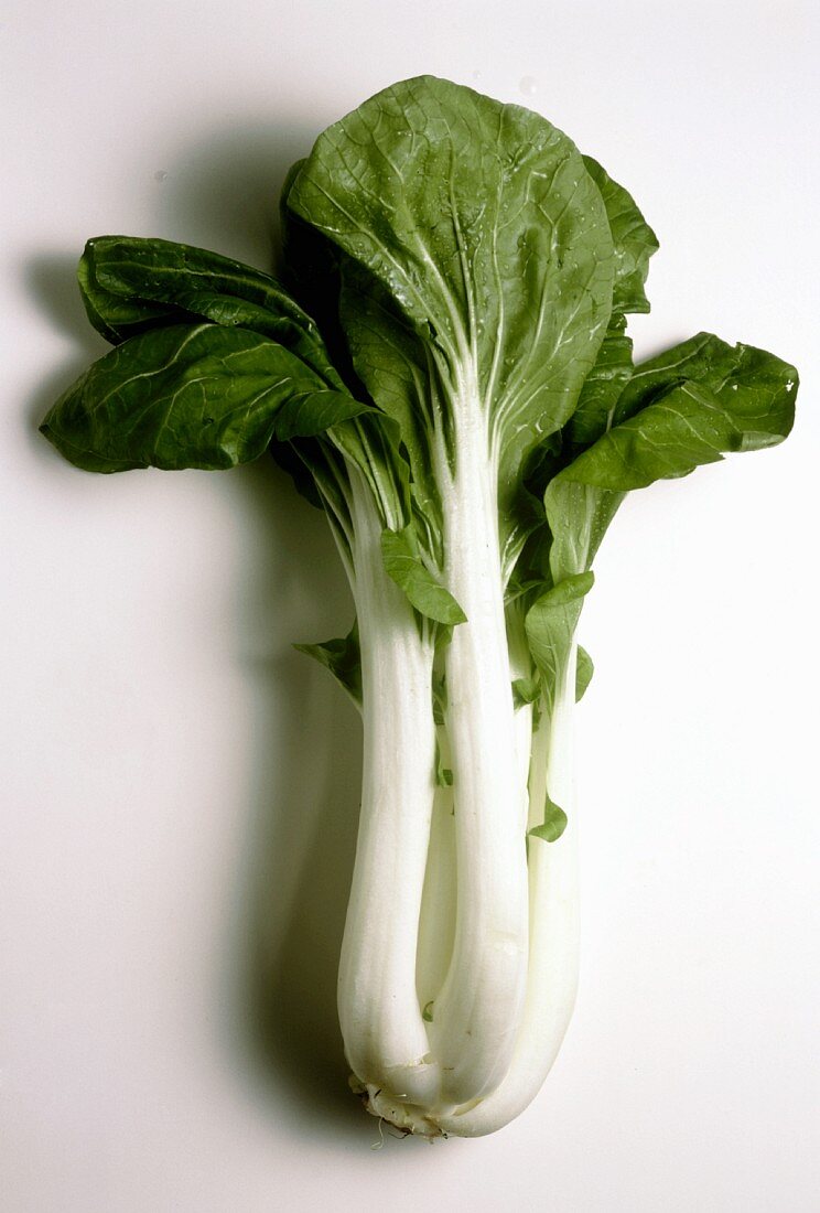 Bok Choy