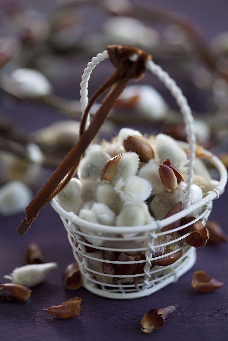 A metal basket of catkins