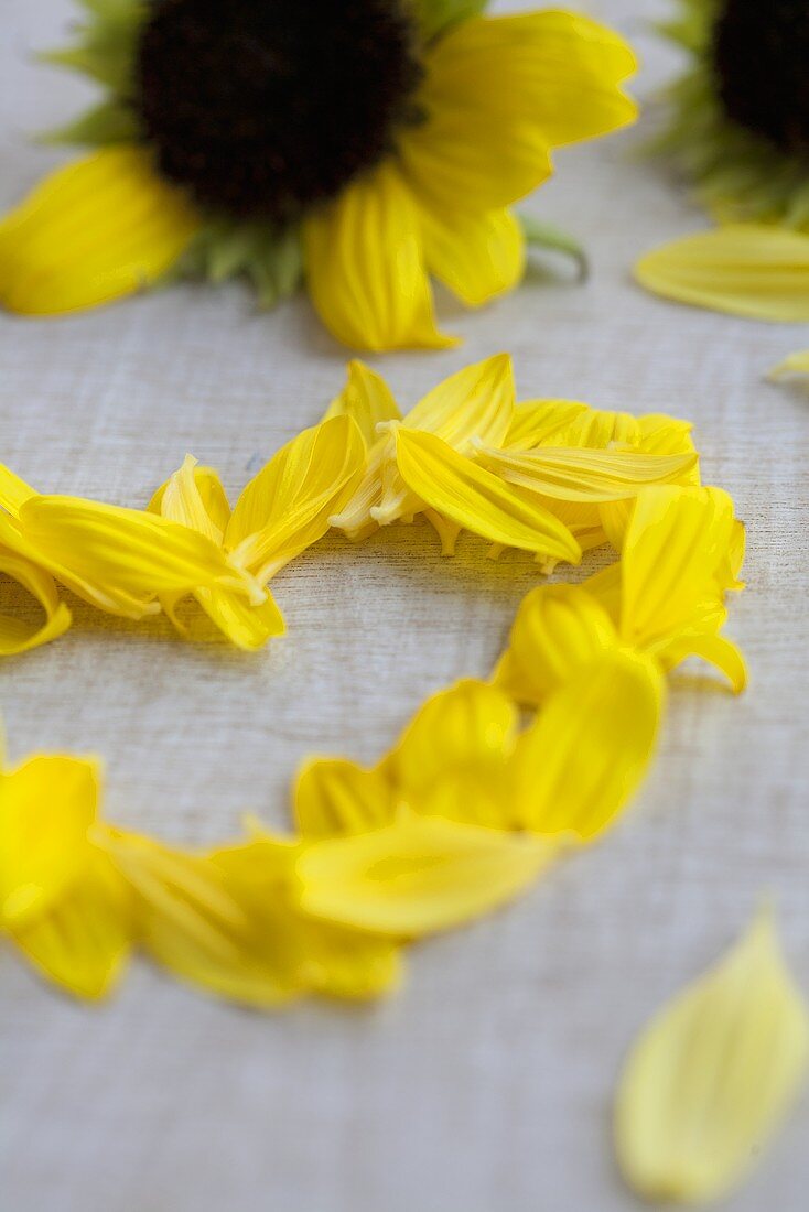 A heart of sunflower petals