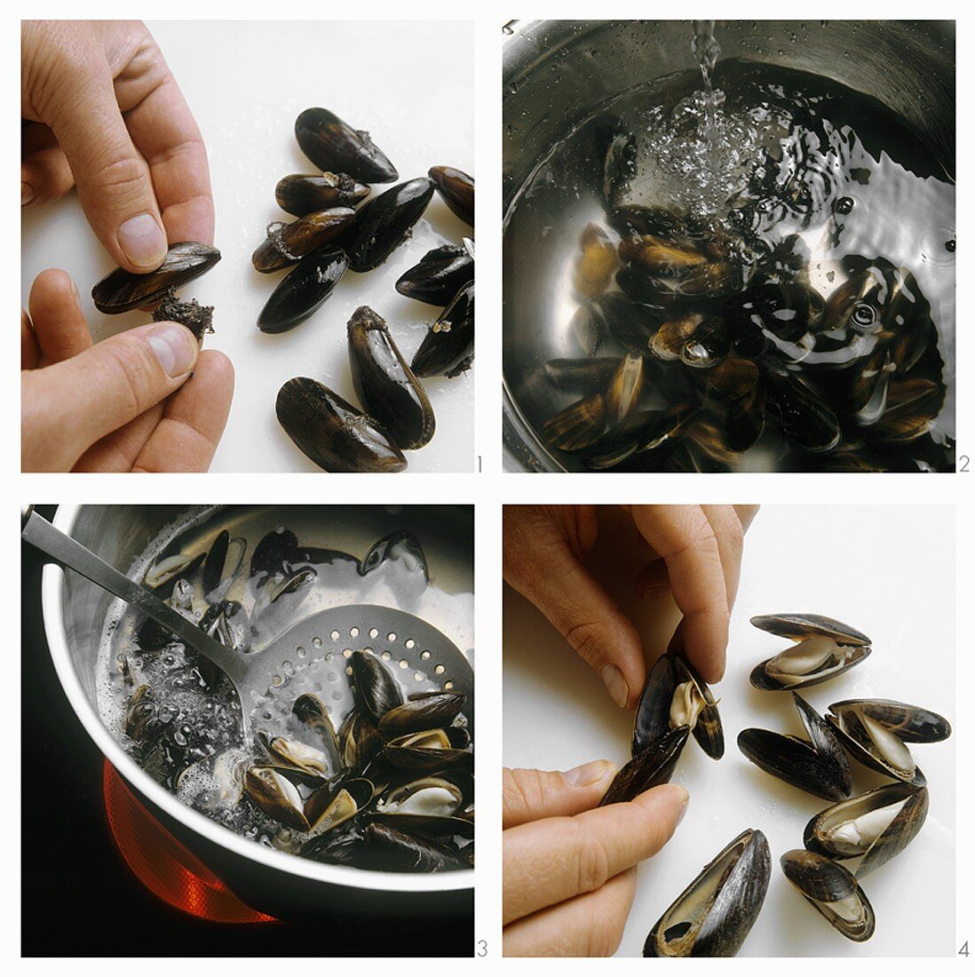 Preparing mussels