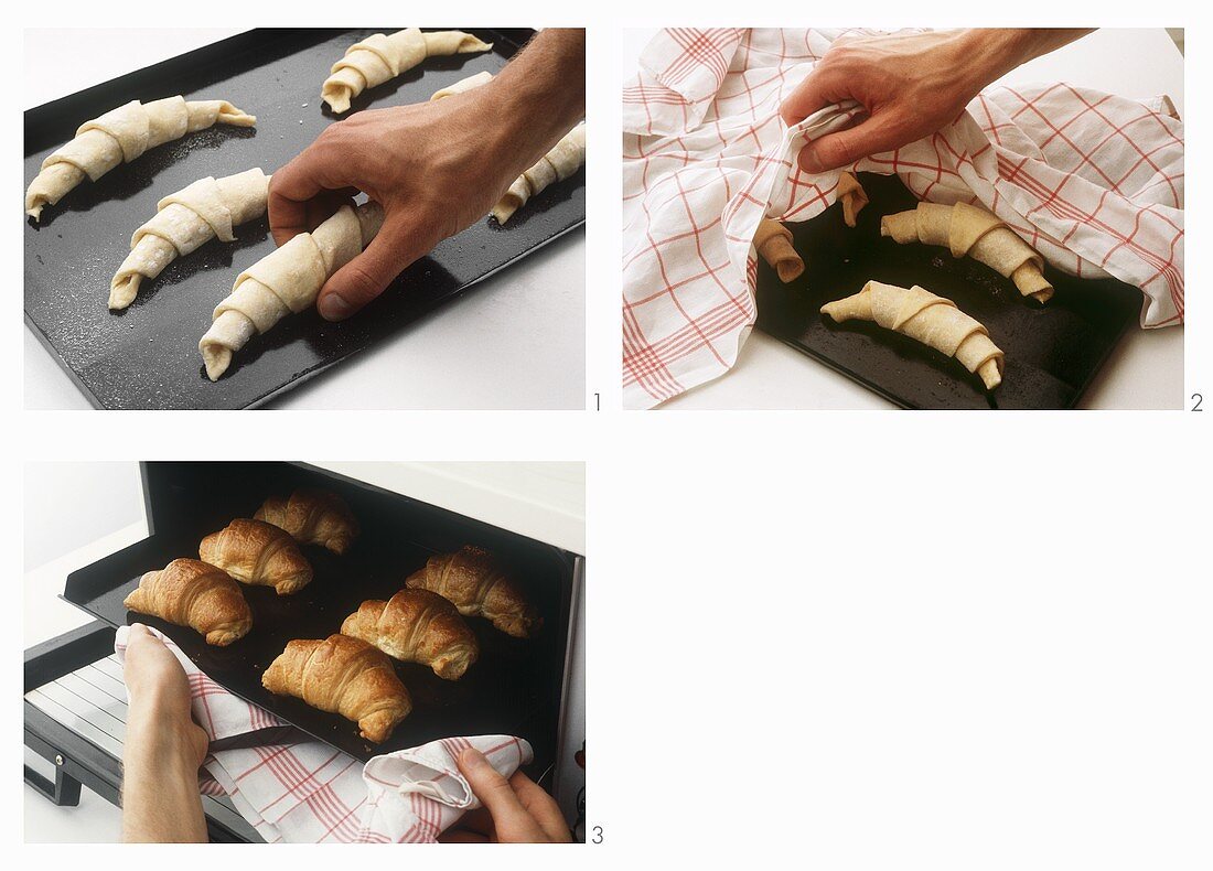 Making croissants