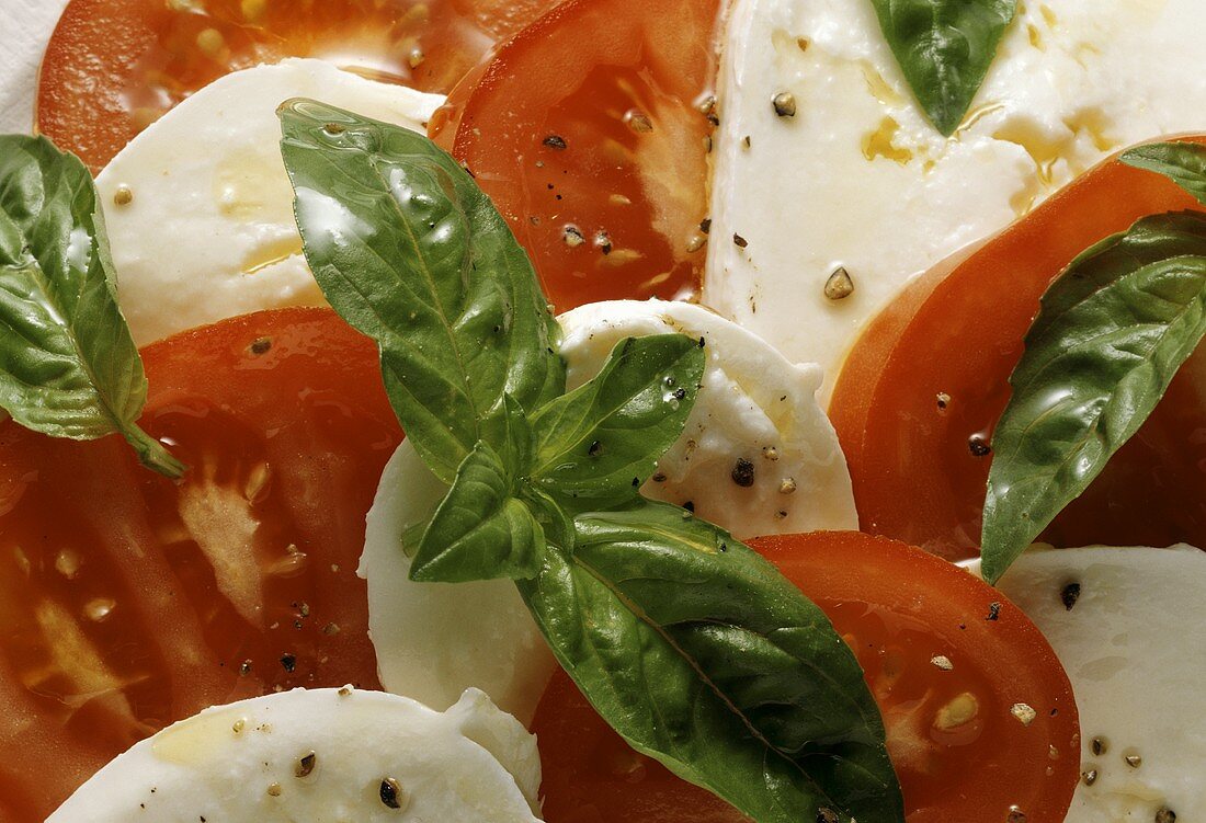 Insalata caprese (Tomaten, Mozzarella und Basilikum, Italien)