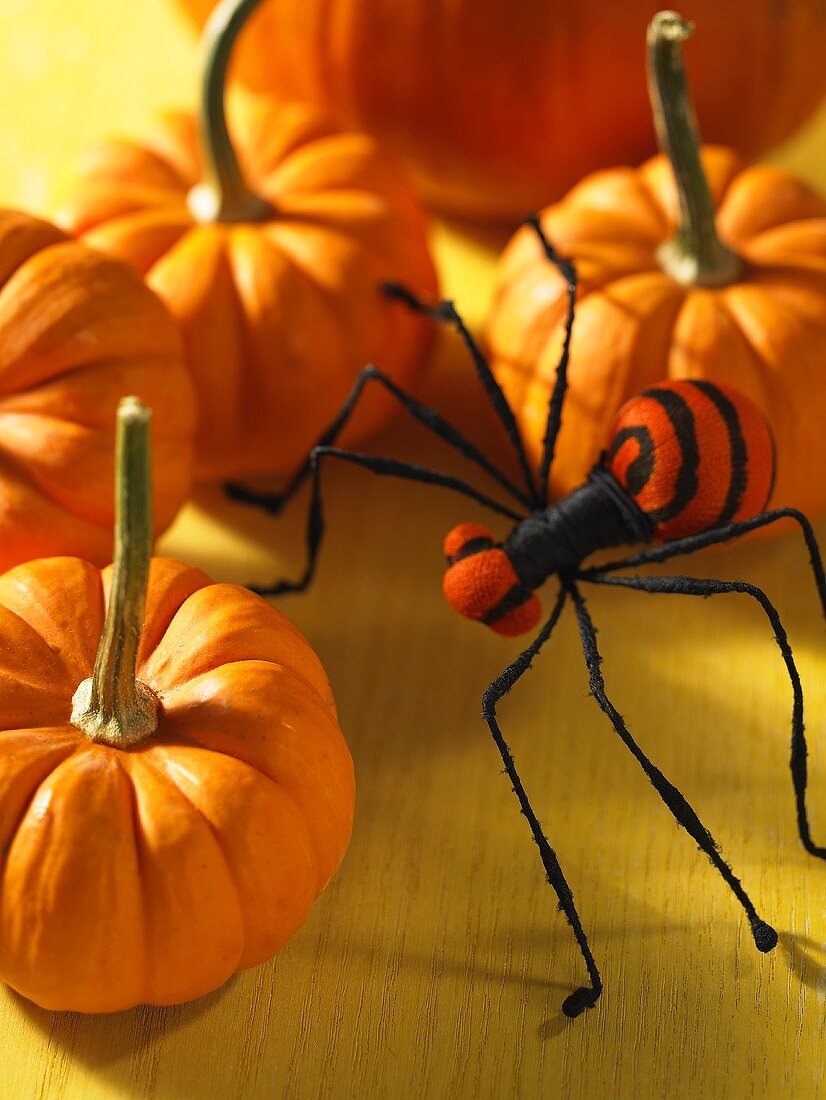 Orange pumpkins and a spider