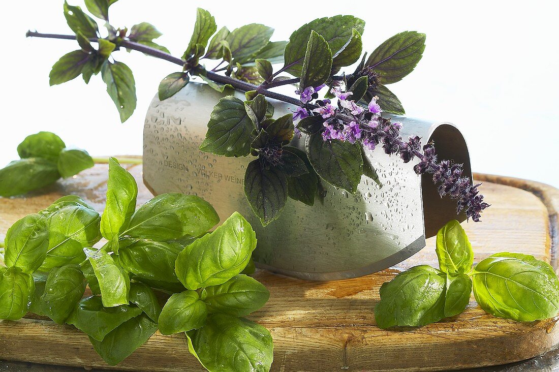 Fresh basil with flowers