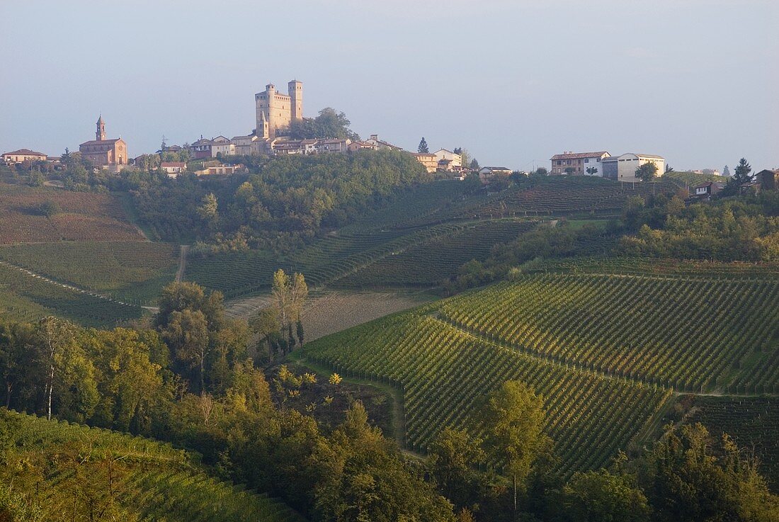 Serralunga d'Alba, Piedmont, Italy