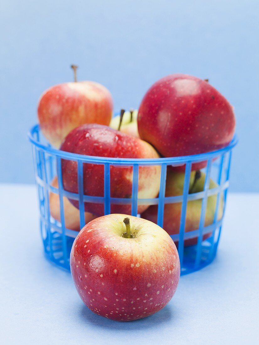 Fresh red apples in a plastic basket
