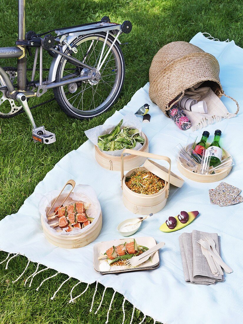 Picnic on grass, bicycle