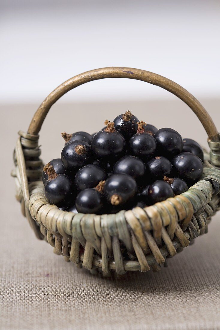 Schwarze Johannisbeeren in einem kleinen Weidenkörbchen