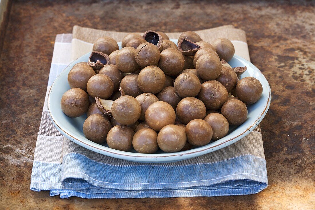 Unshelled macadamia nuts on a plate