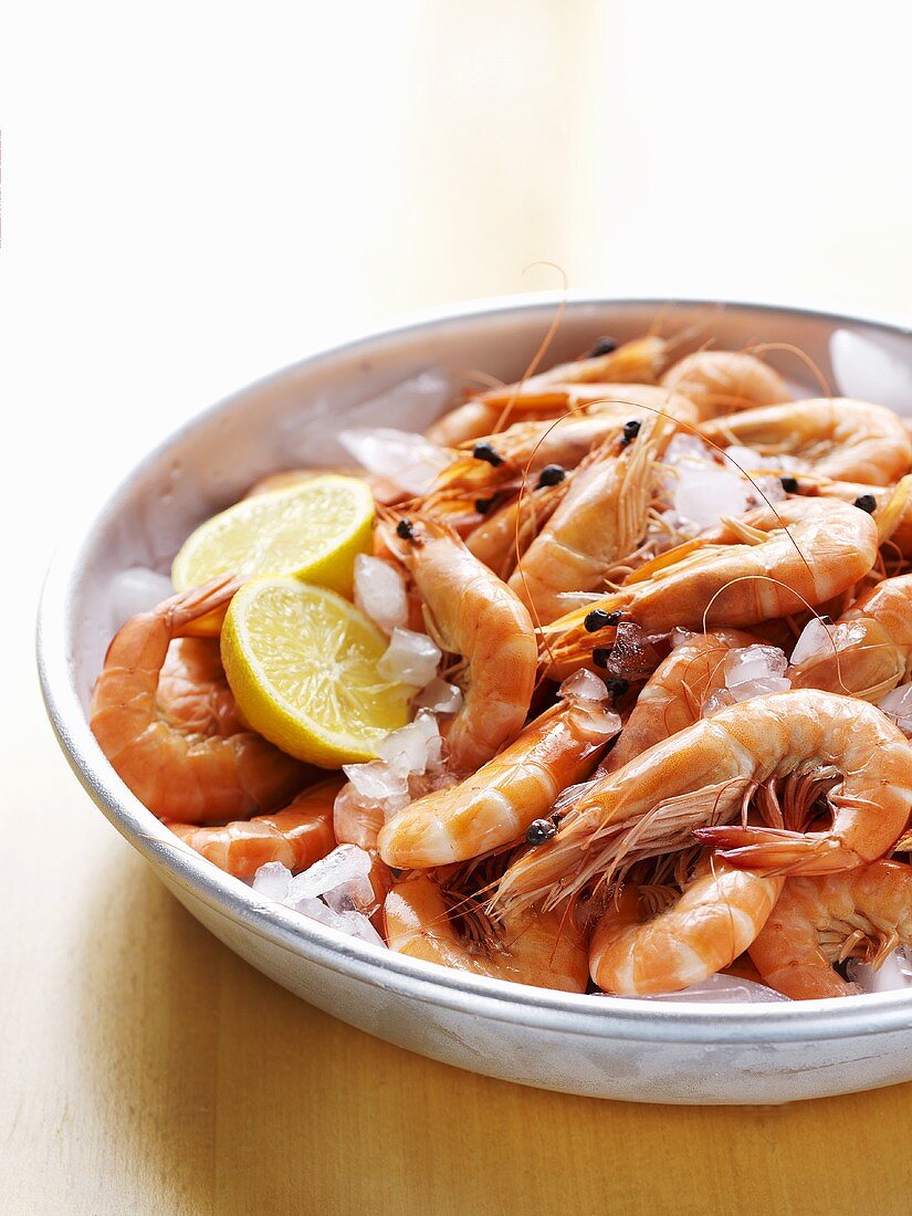 Cooked prawns with lemon slices and ice cubes