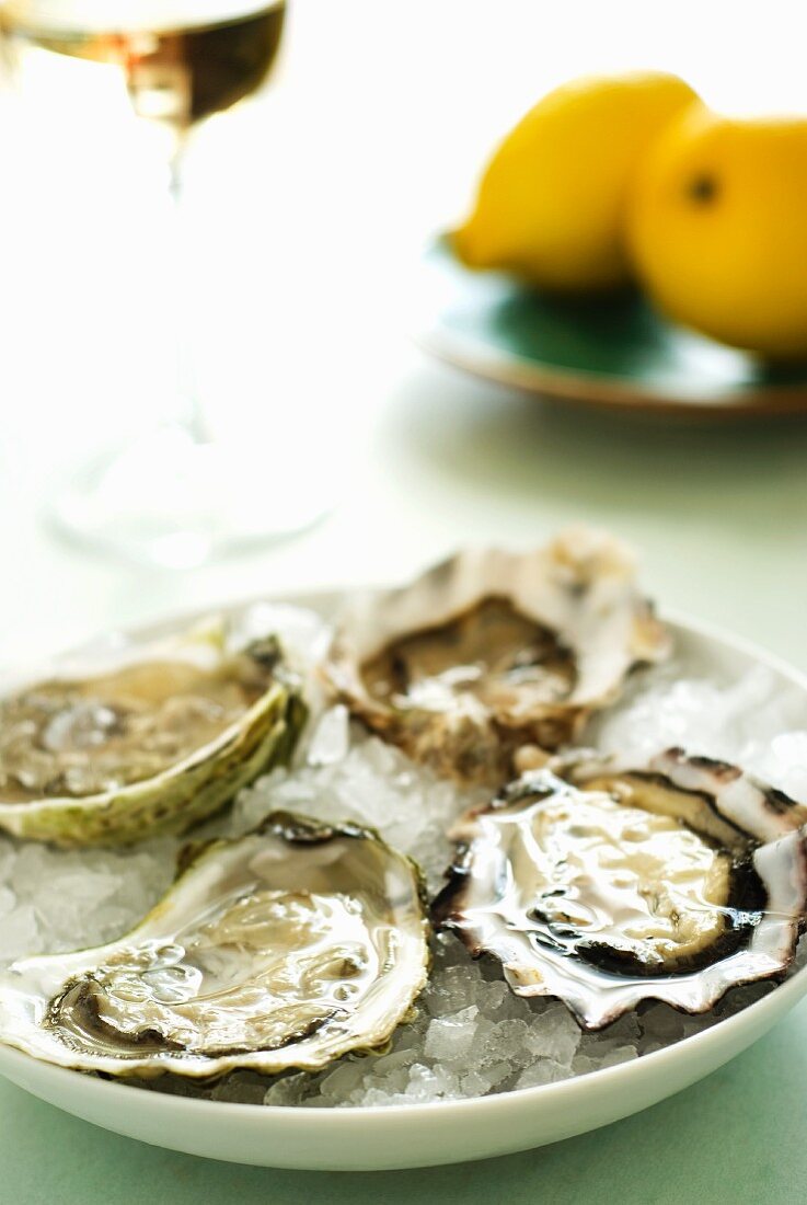 Fresh oysters, lemons and glass of white wine