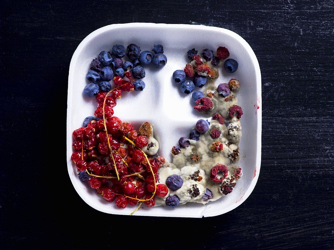 Mouldy berries in polystyrene tray (overhead view)