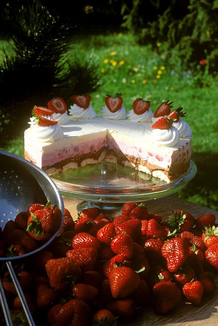Fuerst-Pueckler Icecream Torte with Strawberries