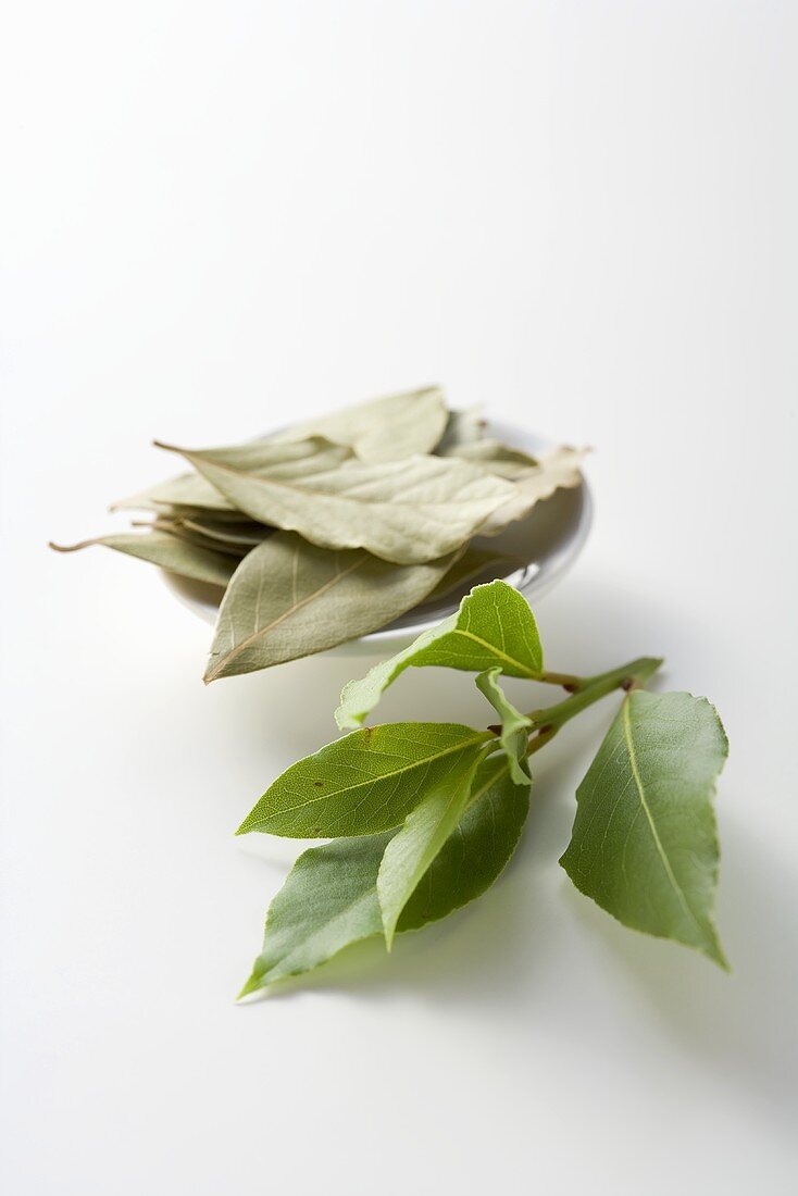 Fresh and dried bay leaves