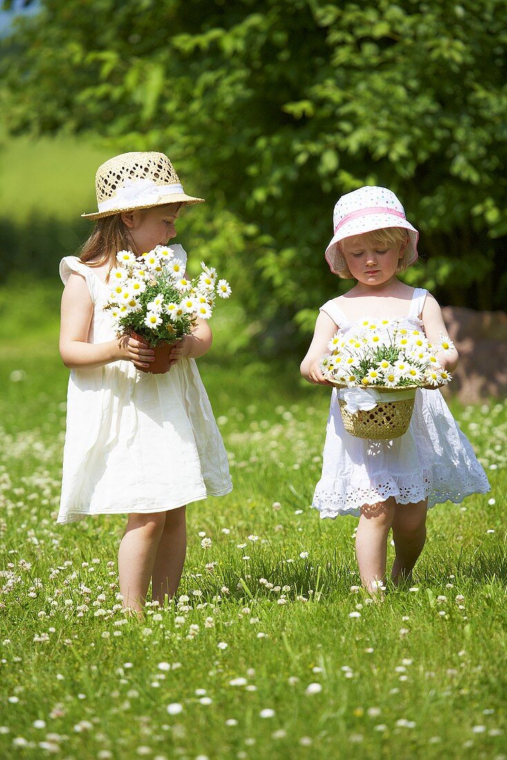 Two little girls with marguerites in grass