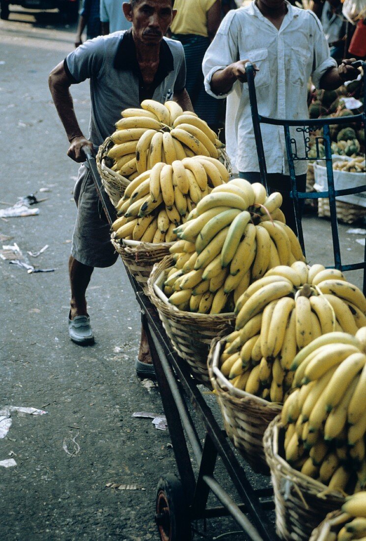 Bananas in Baskets on a Cart