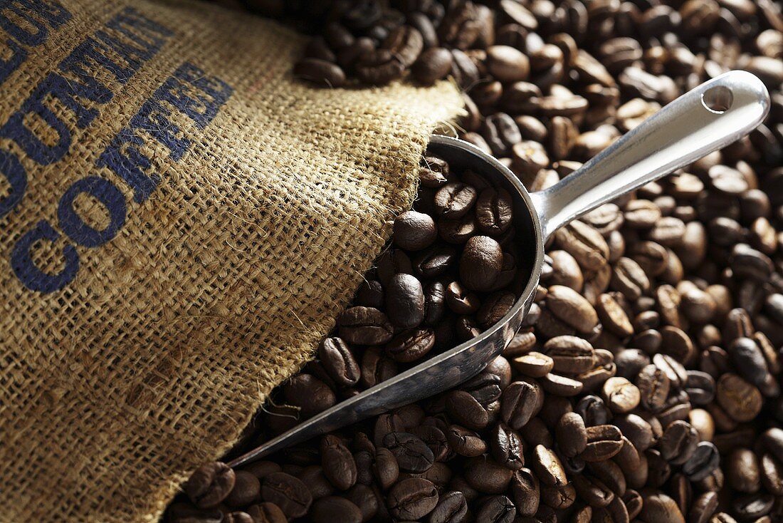 Coffee beans with a jute sack and a scoop