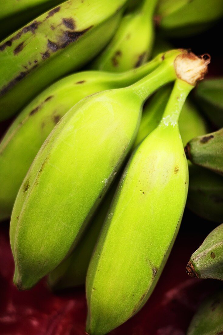 Kleine grüne Bananen