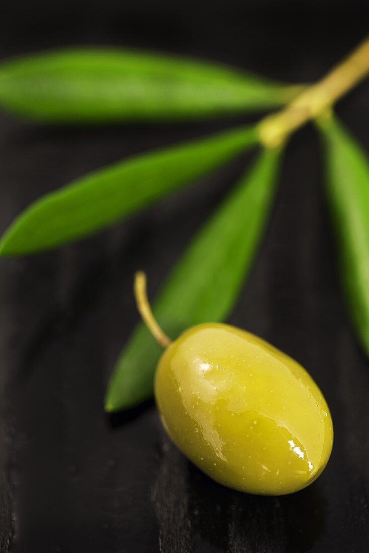Grüne Olive mit Blättern