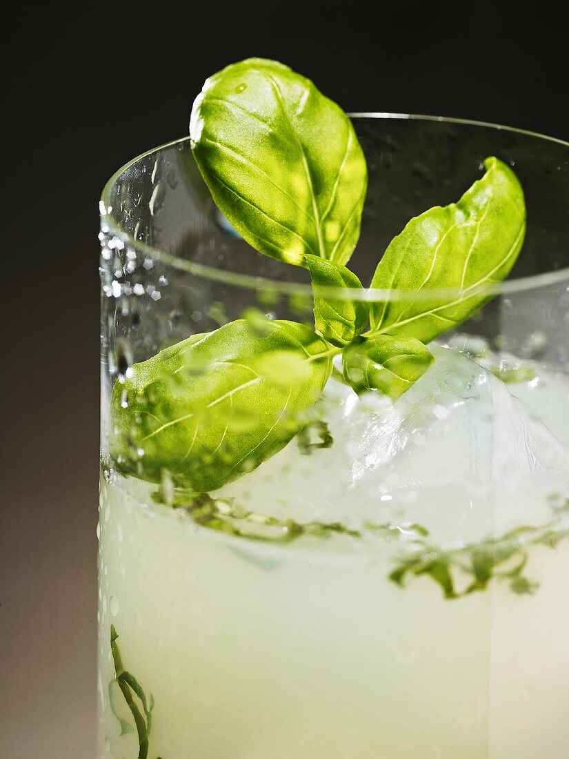 Gin with basil