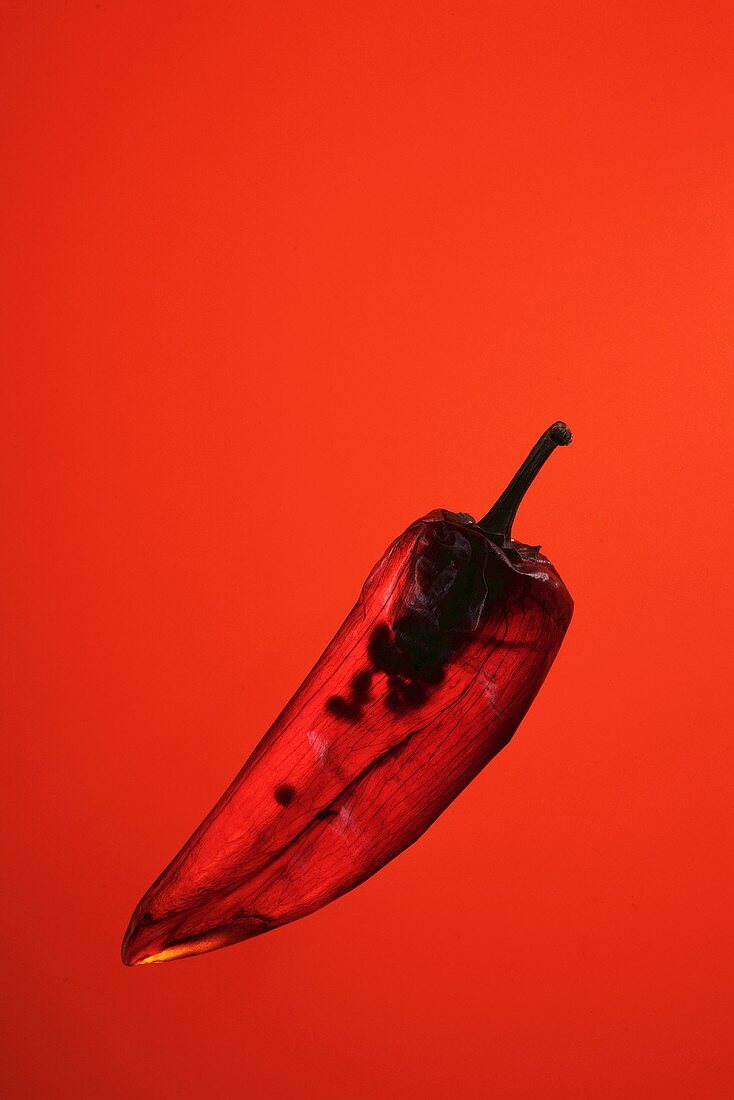 Eine Chilischote vor rotem Hintergrund