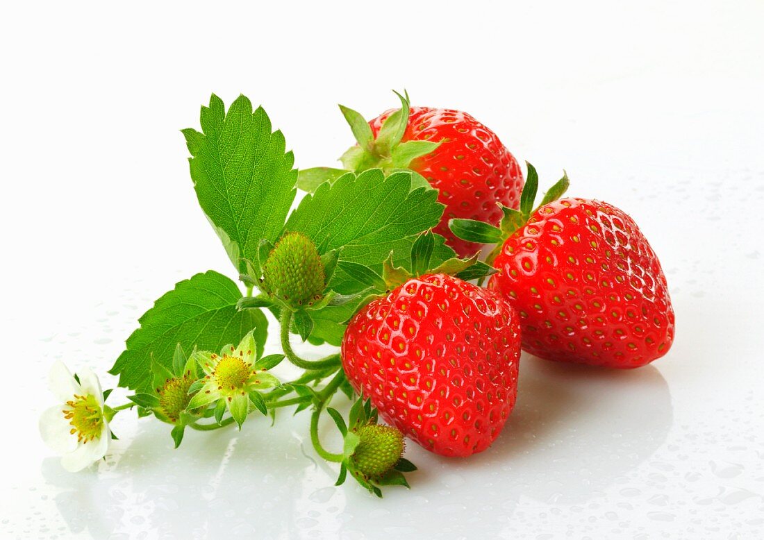 Erdbeeren mit Blättern und Blüten