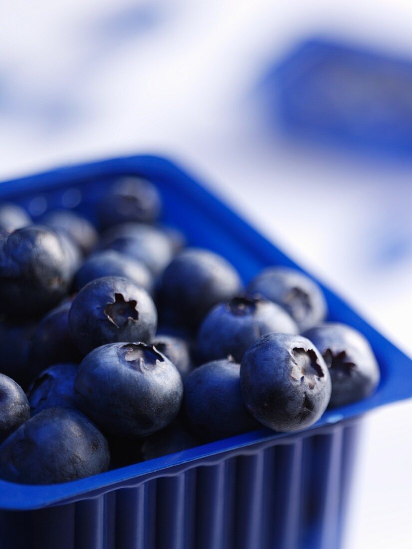 Frische Heidelbeeren in Plastikschale (Nahaufnahme)