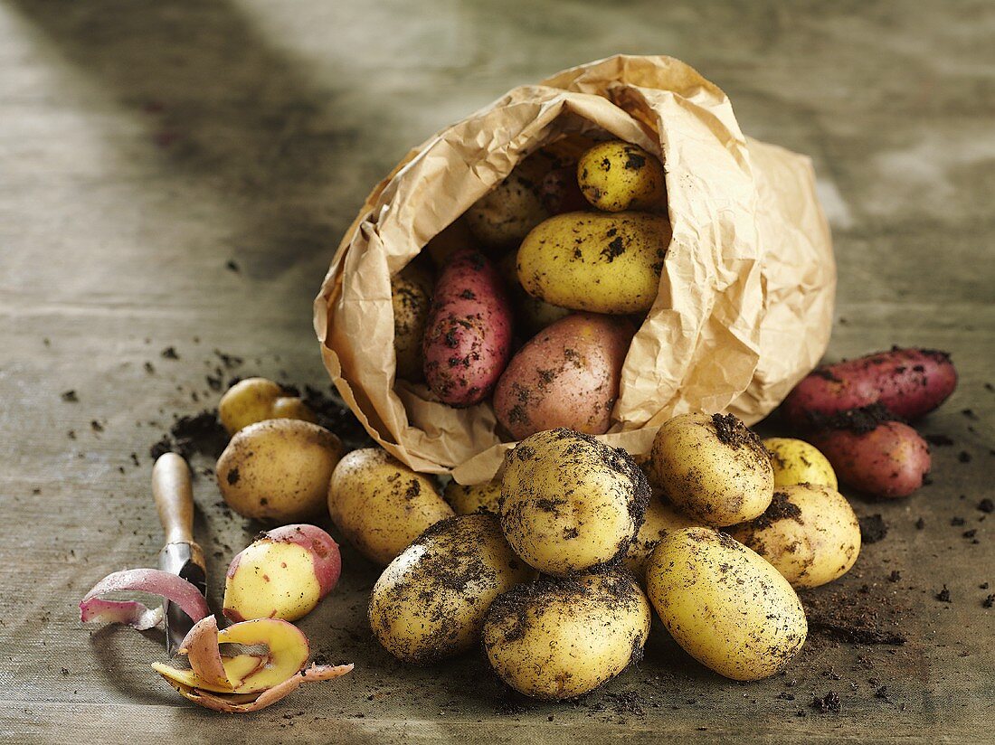 Various types of potatoes in a paper bag