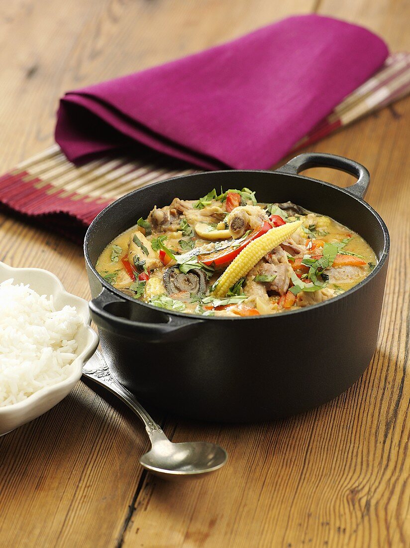 Hähnchencurry mit Reis (Asien)