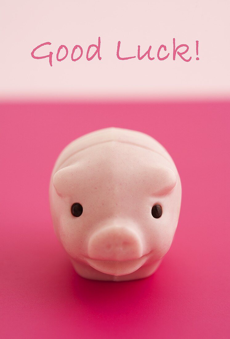 A lucky pink pig and the words Good Luck