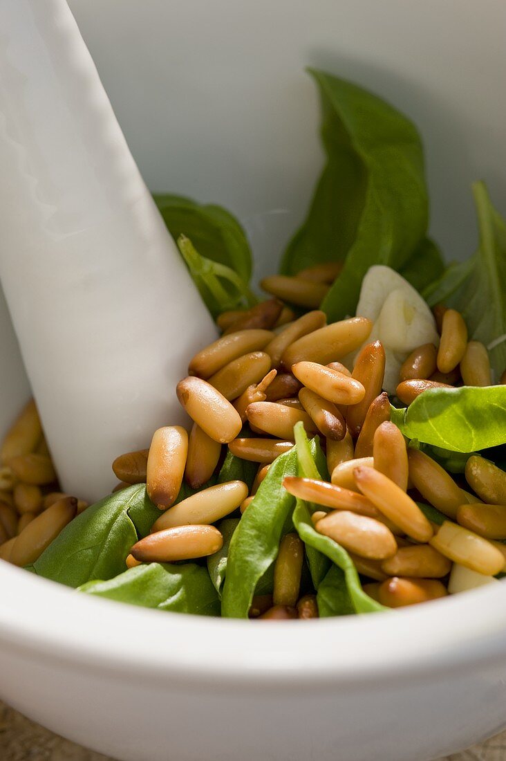 Ingredients for pesto (pine nuts, basil) in a mortar