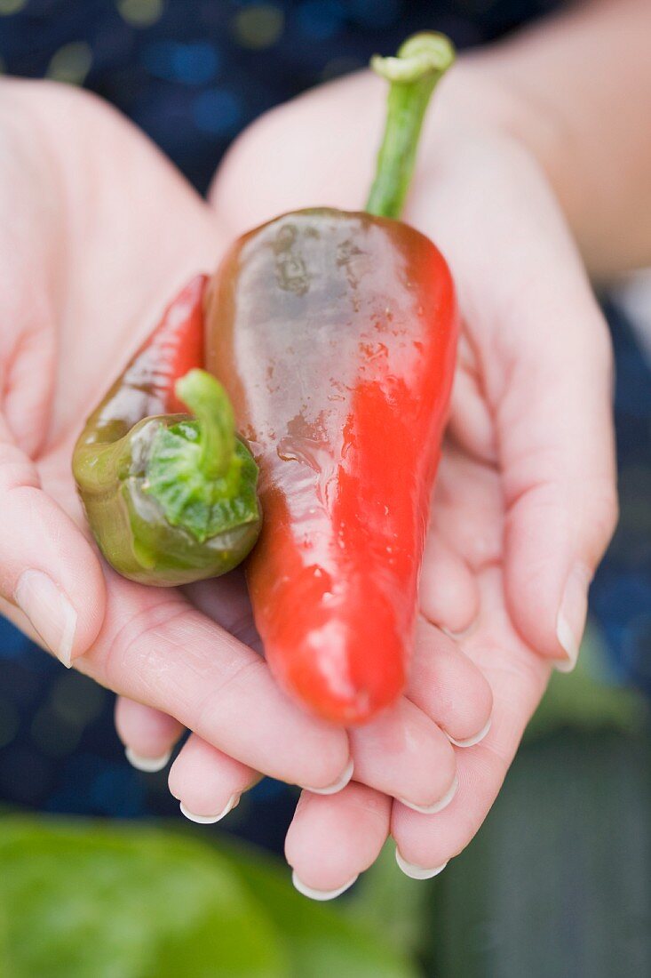 A woman holding fresh peppers