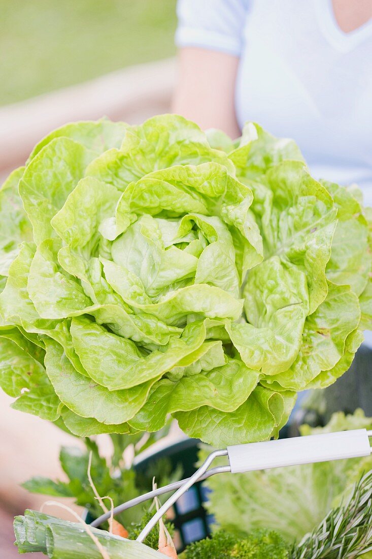 A woman holding a fresh lettuce