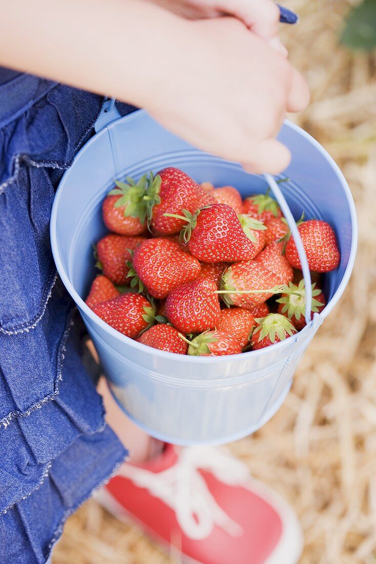 Kind hält Eimer mit frischen Erdbeeren