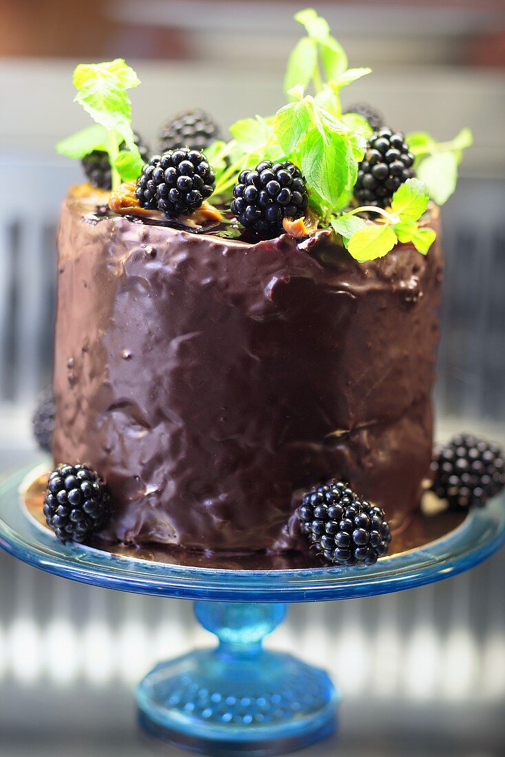 Cake with creme de cassis and blackberries