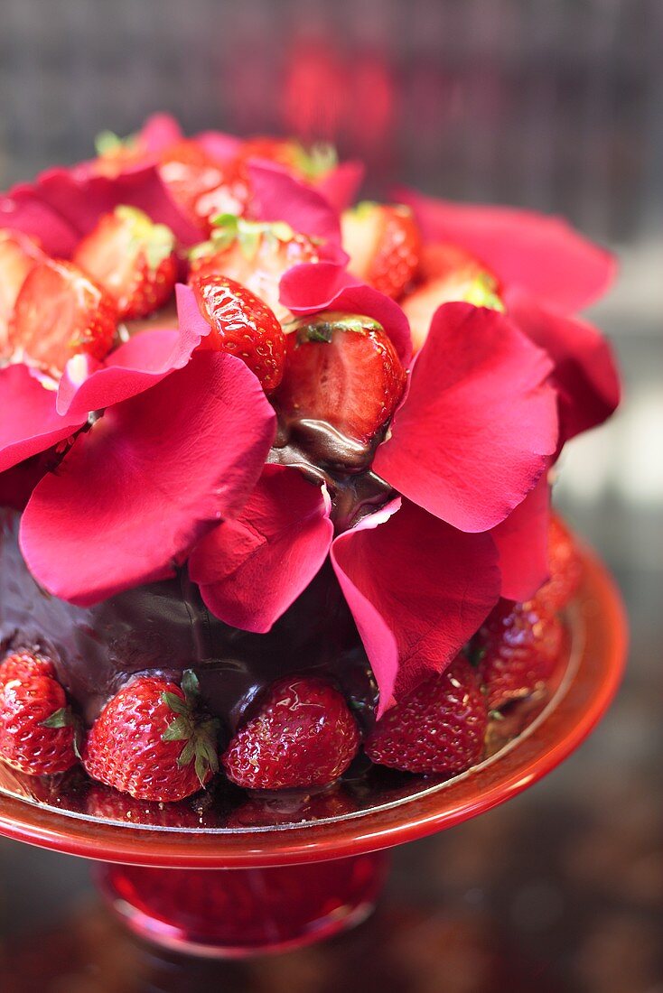 Chocolate cake with strawberries and rose petals