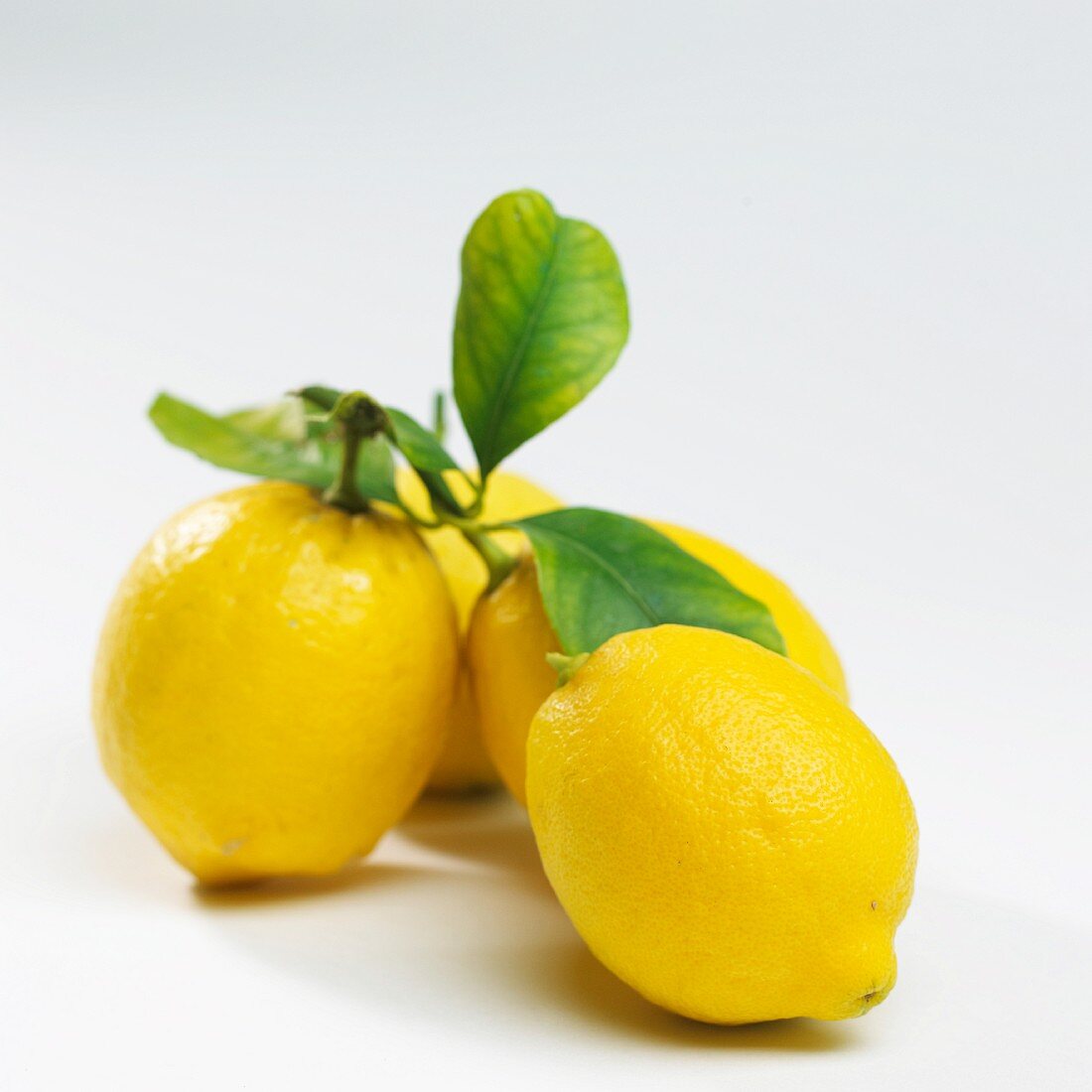Mehrere Zitronen mit Blättern