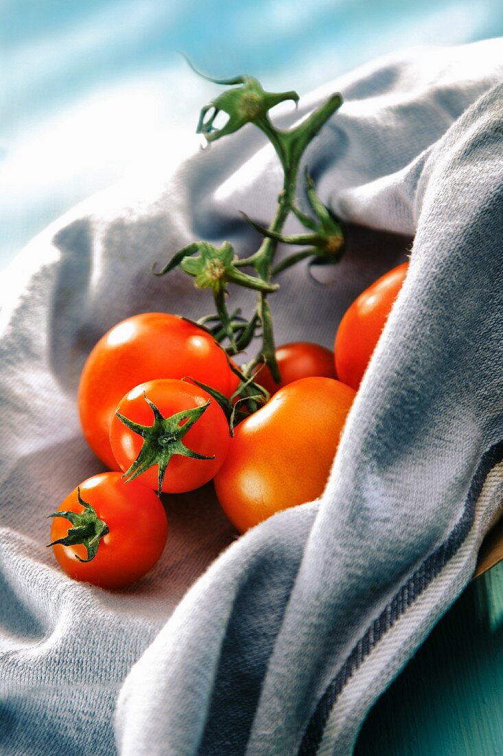 Tomaten auf Küchentuch
