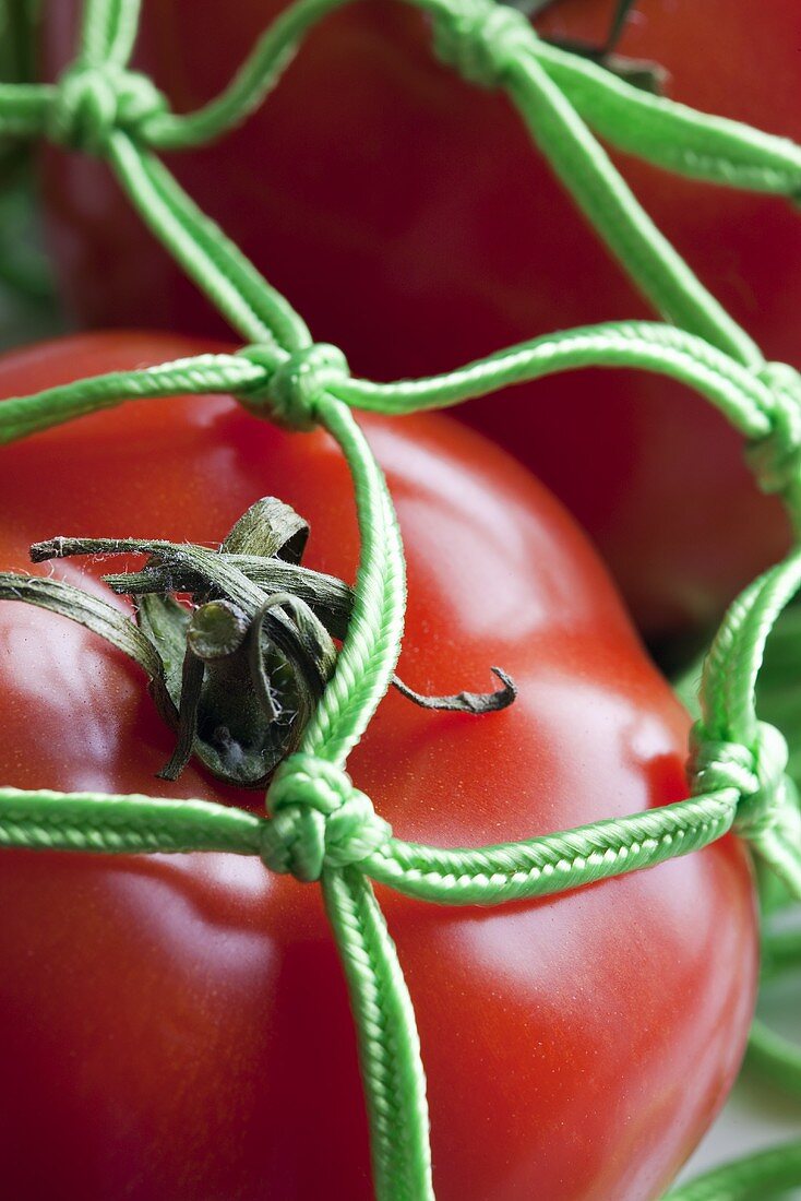 Tomaten in grünem Einkaufsnetz (Nahaufnahme)
