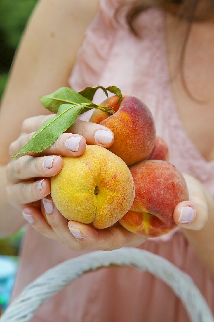 Woman holding fresh peaches in her hands
