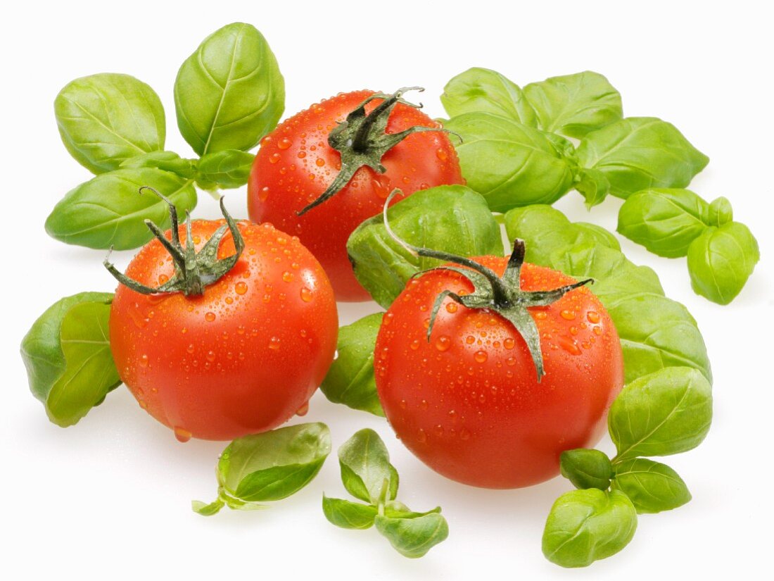 Tomaten mit Wassertropfen und Basilikum