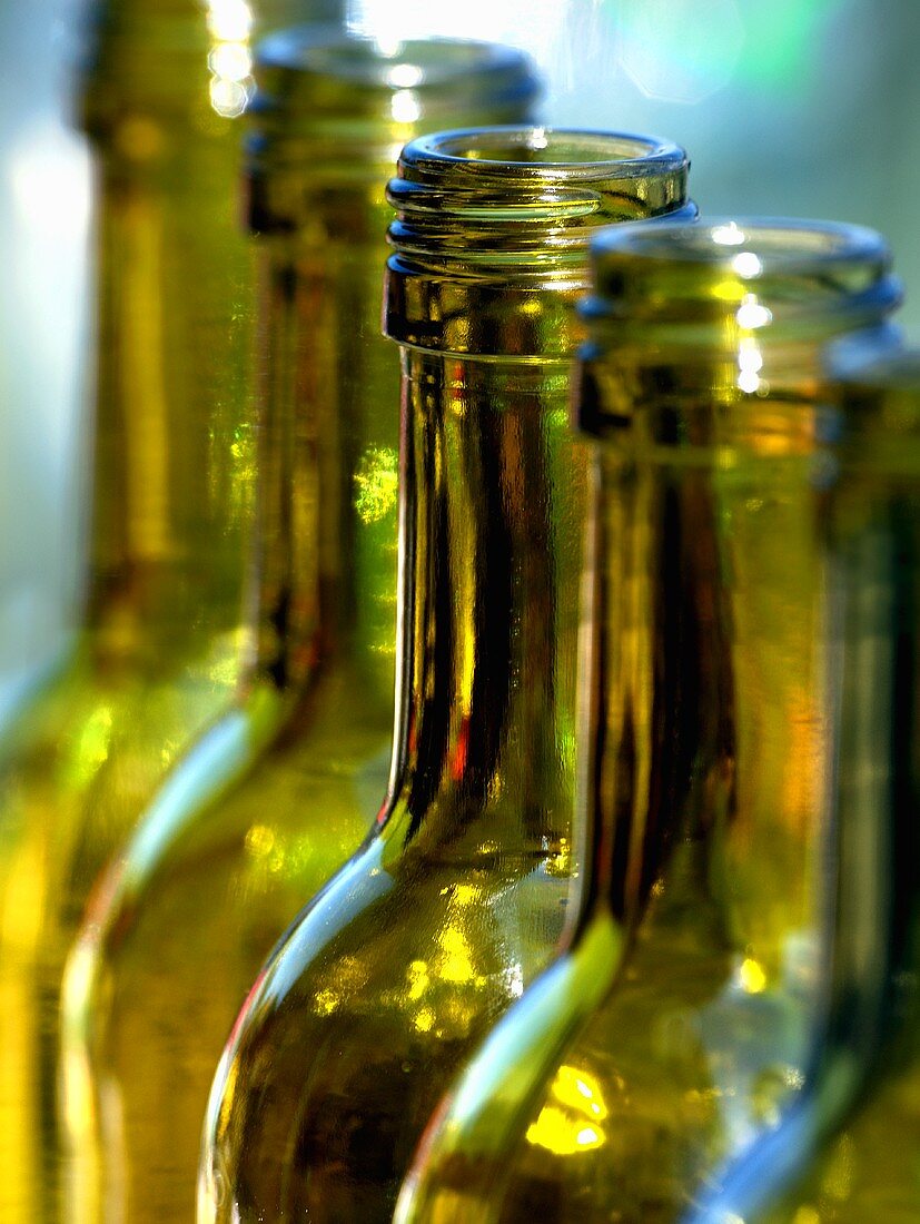 Empty bottles in sunlight (close up) – License Images – 801830 ❘ StockFood